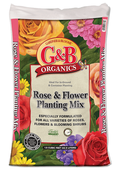 gbo-roseflower.png
