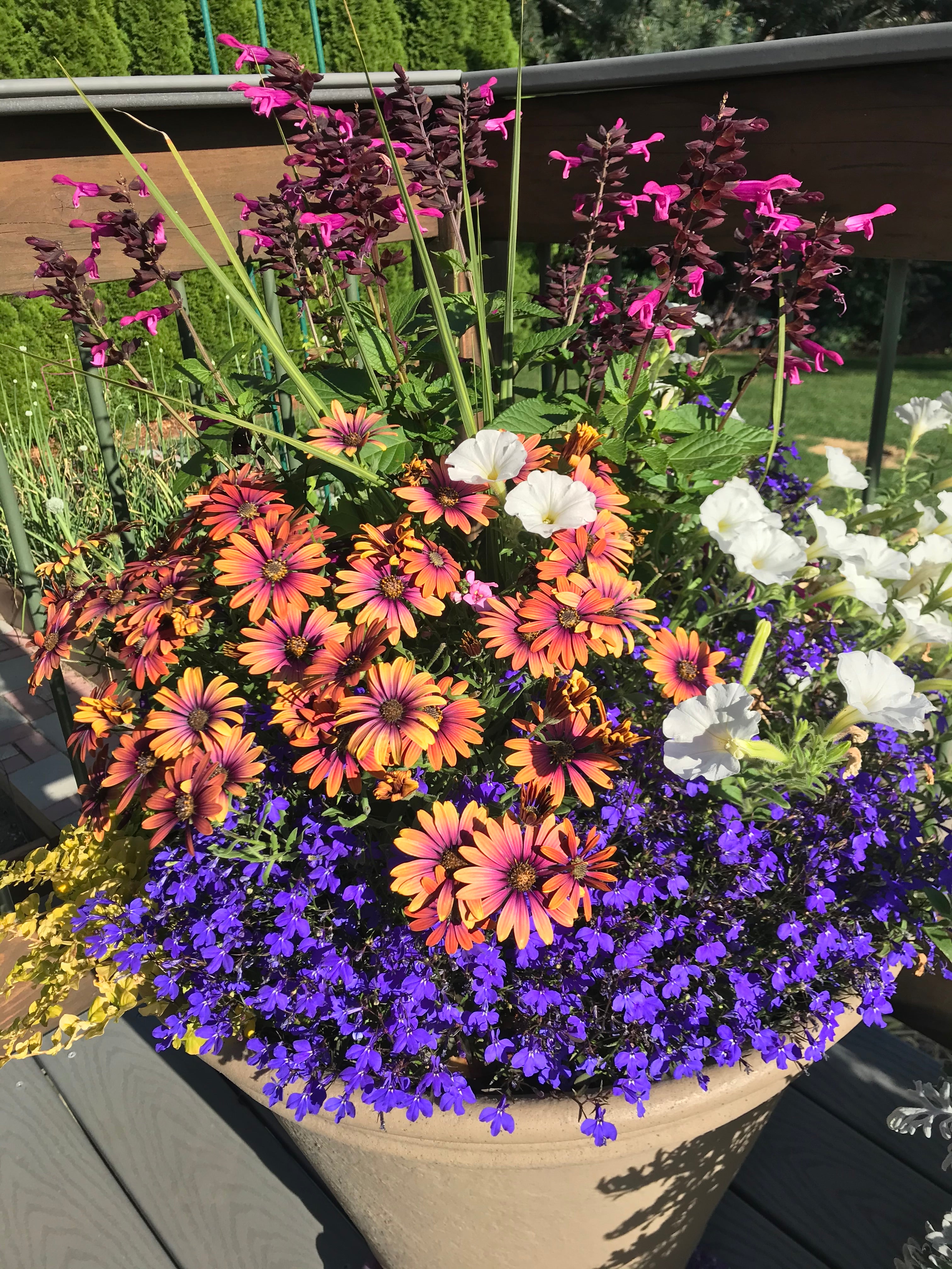 Looking Ahead to Spring: Spokane Gardening for Newcomers — Ritters ...