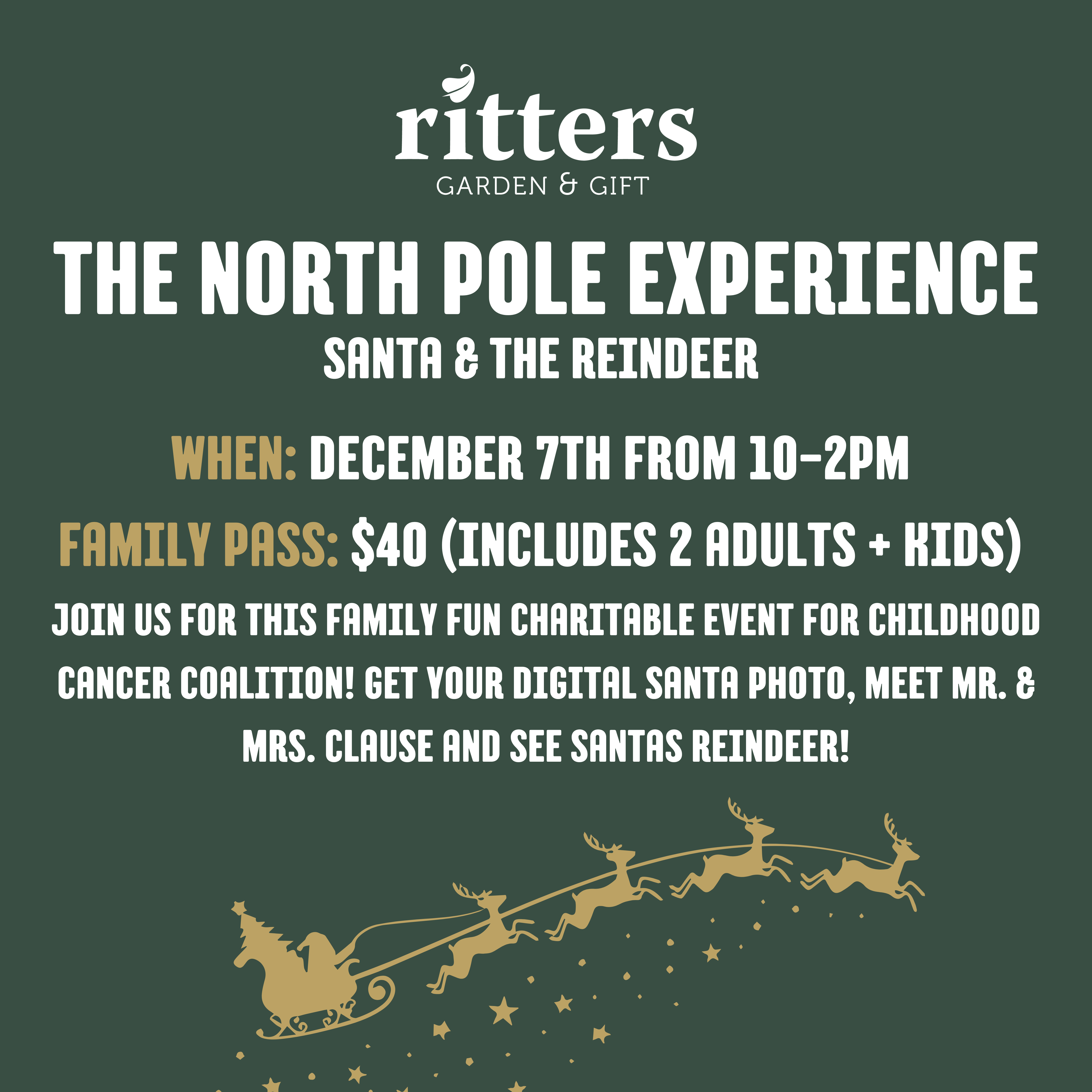 The North Pole Experience