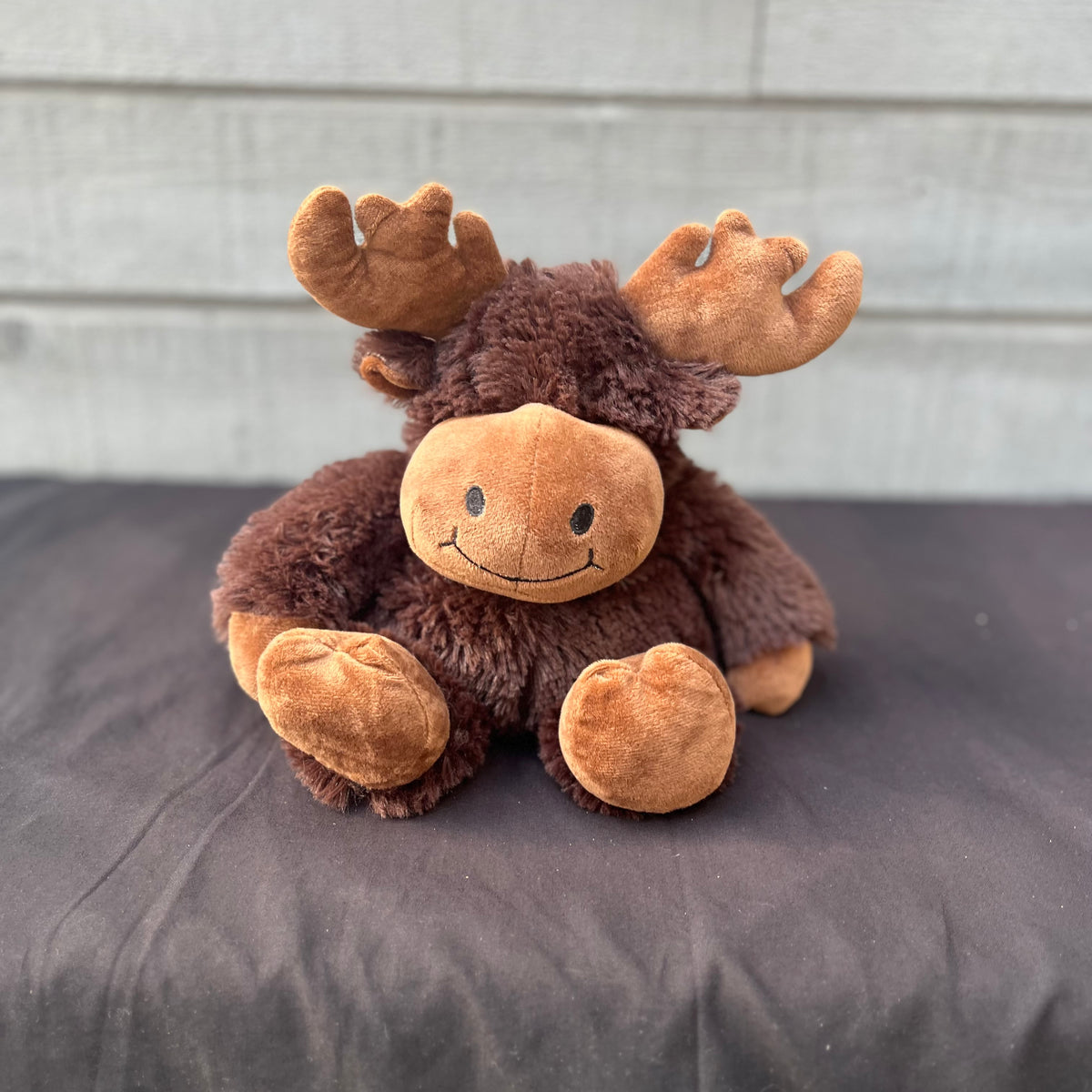 Warmies Capibara di peluche lavabile in microonde - 33 cm Warmies Capibara di peluche lavabile in microonde - 33 cm