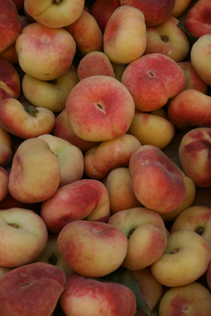 Peach, Saturn