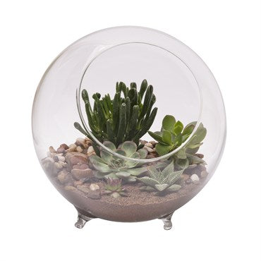 succulent terrarium large Large Sphere Terrarium — Ritters Garden and Gift