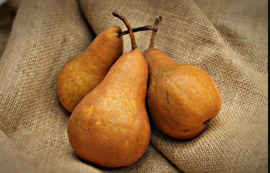 Pear, Bosc