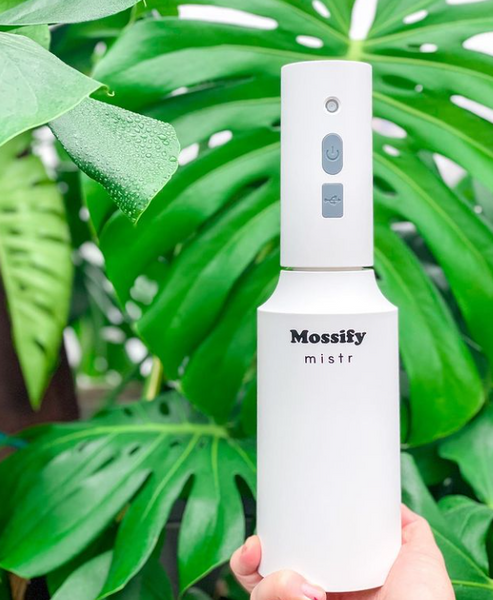 Mossify Mistr - The Automatic Mister — Ritters Garden and Gift